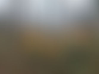 Creston Valley FireSmart Resiliency Committee: Meet to view wildfire reduction project recently completed by Yaqan Nukiy.