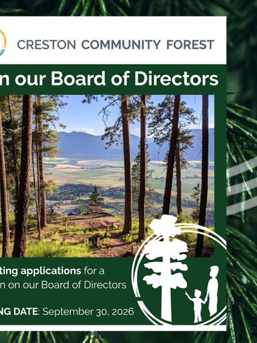 Accepting Applications for a Position on our Board of Directors