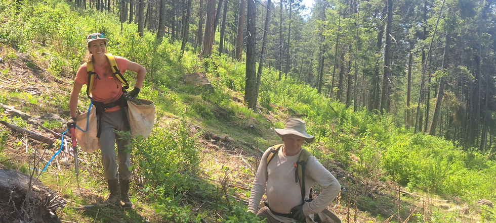 CCF tree planters, the West Arm Silviculture crew.