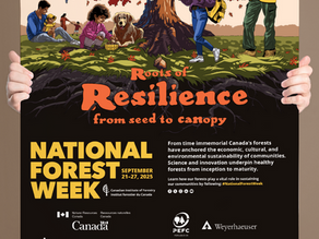 National Forest Week 2025