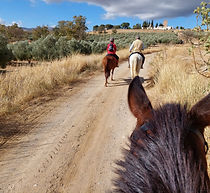 Toro Blanco Active Holidays Horse Trekking and Cycling 2.jpg