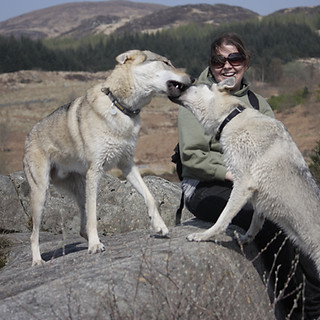 Samadhi canine therapies