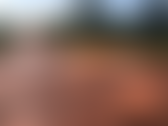 Commercial Drivers at Wa Lorry Station Voice Urgent Concerns Over Deteriorating Roads and Rising Arm Robbery Incidents