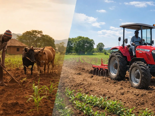 Kpenaateng Farmers in Wa West Appeal for Tractor Services Centres and affordable farm inputs