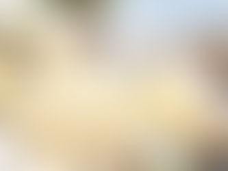 Young Farmer Honored as Overall Best in The  Lawra Municipality for 2025