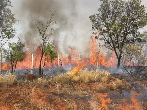 Wa East District Reports Ten Fire Outbreaks, NADMO Calls for Caution and Responsible Tree Felling