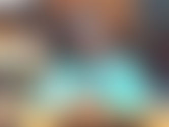 NPP Primaries: Vida Diorotey Defeated at Wa West