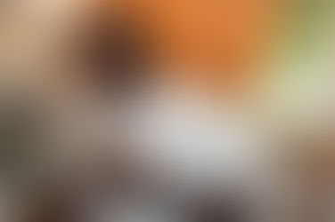 UWR Mental Health Coordinator calls for strengthened Guidance and Counseling centres