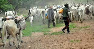Farmers at Kpalworgu accuse nomadic Fulani herdsmen of thwarting farming activities