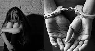 Assembly Member sentenced to 14 months imprisonment