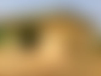 Baraka Impact is a blessing for us – Women of Konjiehi