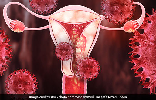 Wa Municipal Health Directorate Launches Campaign to Combat Cervical Cancer with HPV Vaccination