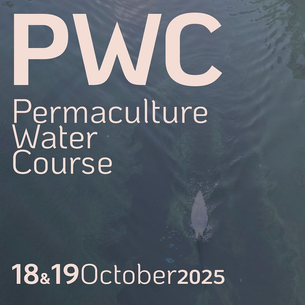 Permaculture Water Course with Helder Valente 