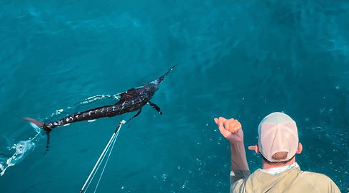 View recent photos.jpg