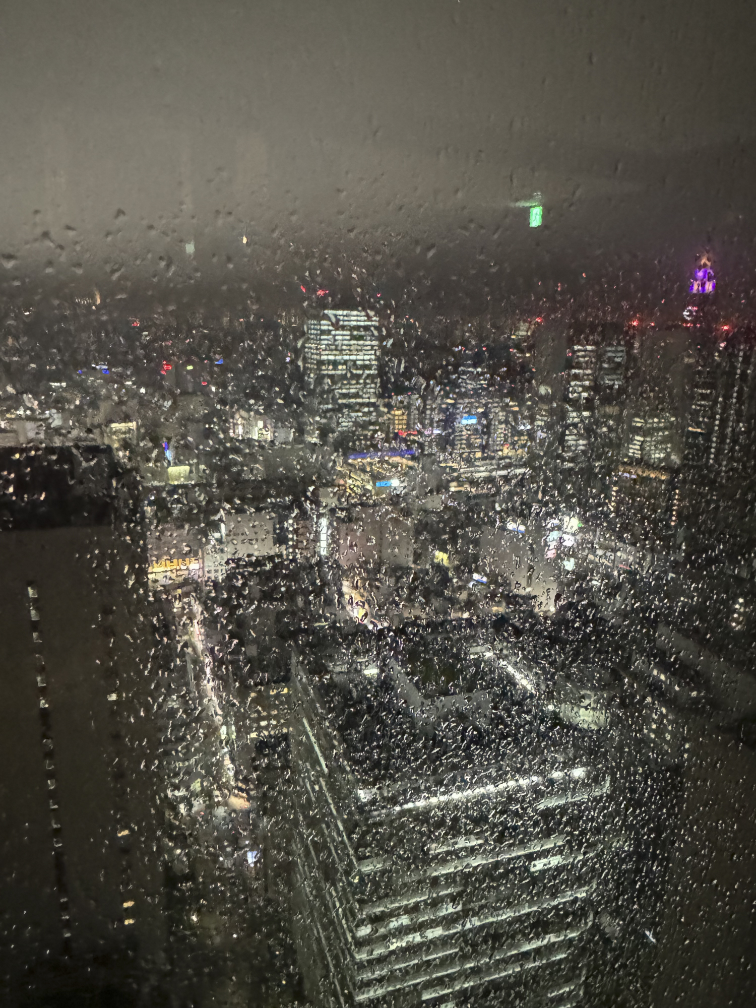 Woman with artichoke.jpg