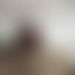 NEW BUSINESS FOR ARIGHI ES