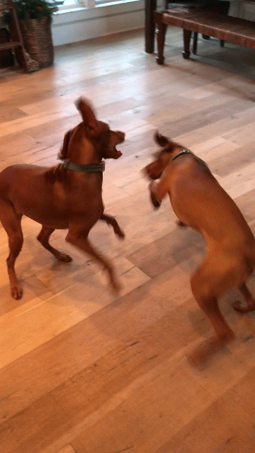 RUBY & FIG