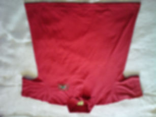 Polo Shirt with SDCVS logo
