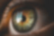 yeux 1.jpg
