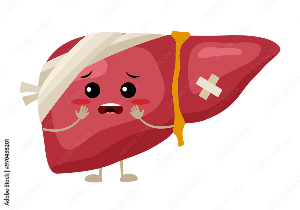 Esteatose Hepática: O Que É, Sintomas, Causas e Como Prevenir