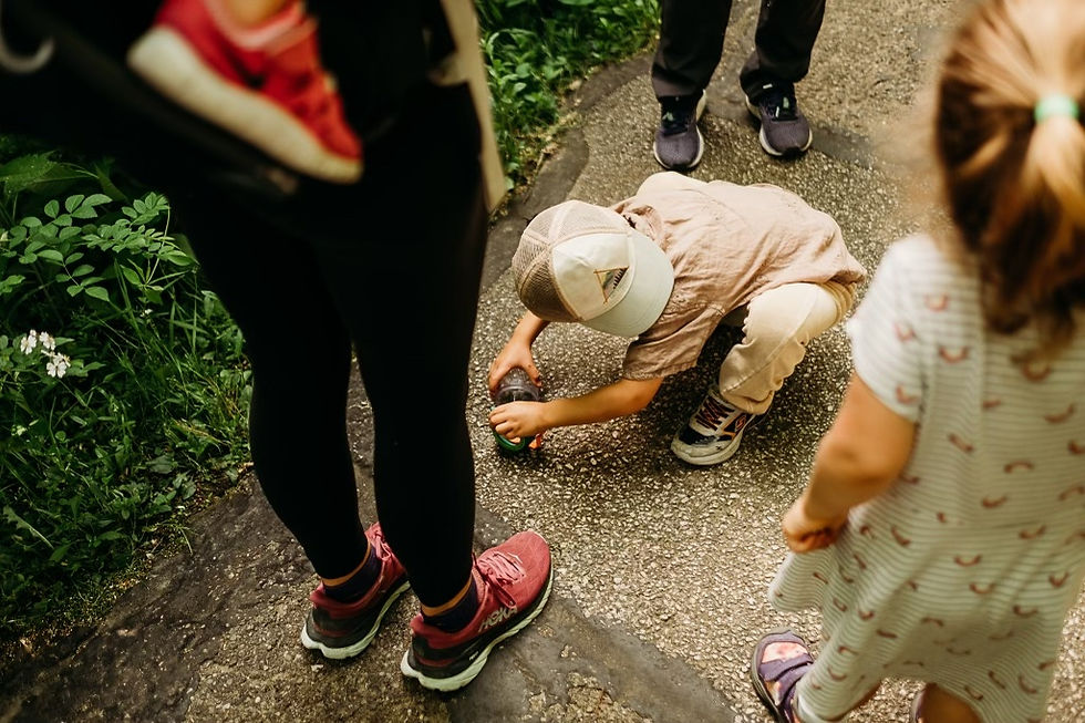 BATH, OH: UA Field Station Guided Hike (free event - please RSVP)