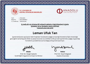İSG TAMAMLAMA BELGESİ_UFUK TAN.jpg