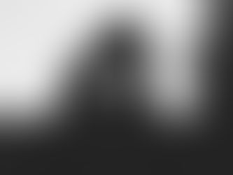 Le Noir et Blanc