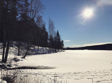  Norway hiking for beginners Sognsvann frozen lake oslo fjord forest viking nordic scandinavian pine trees woods outdoor norse winter snow