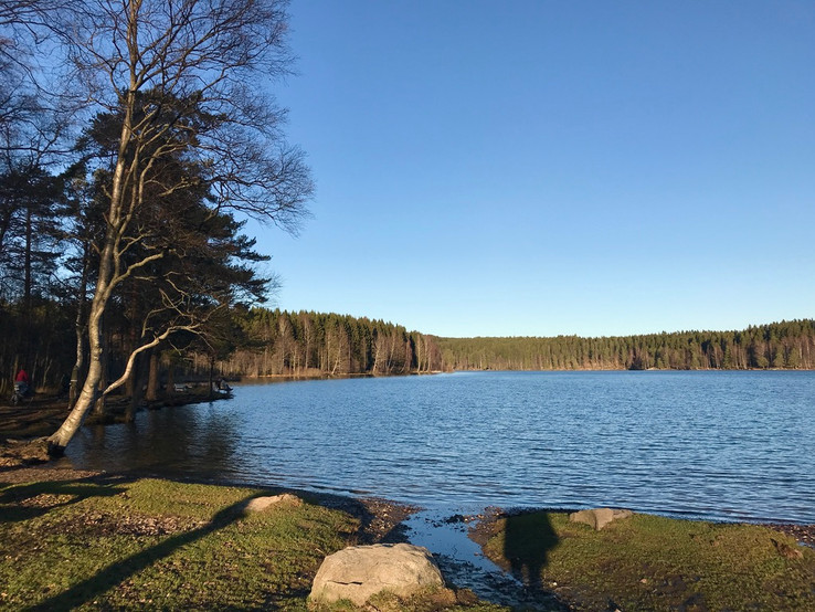  Norway hiking for beginners Sognsvann lake oslo fjord forest viking nordic scandinavian pine trees woods outdoor norse