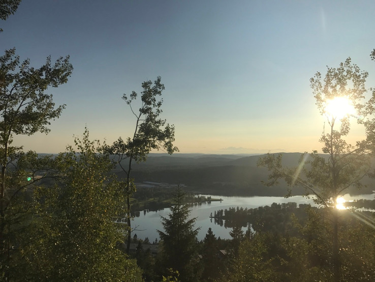 Norway hiking for beginners Frognerseteren oslo fjord forest viking nordic scandinavian pine trees woods outdoor norse