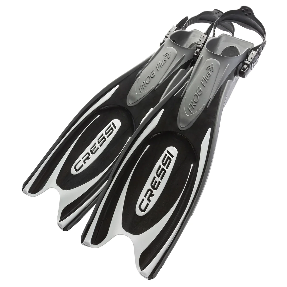 Cressi Frog Plus - Silver