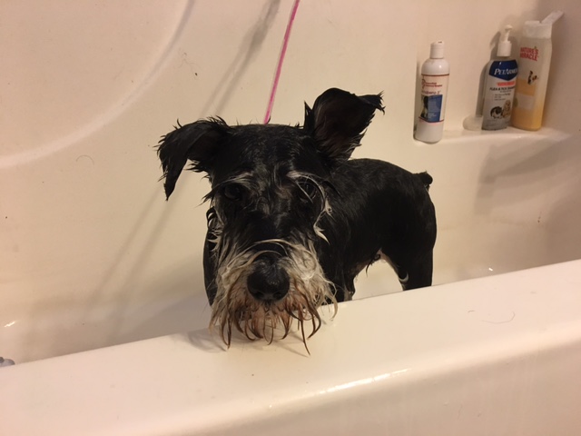 Bath time!