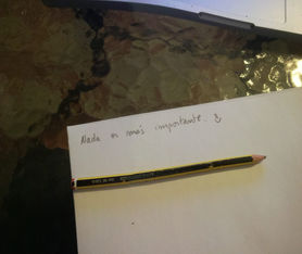 Palabras de un necio.