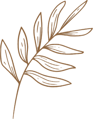 DECORATIVE_edited.png