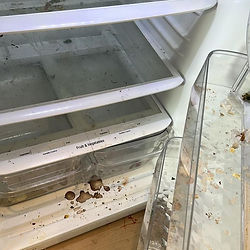 Dirty refrigerator shelves needing a deep cleaning