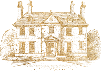 Layer 2.png