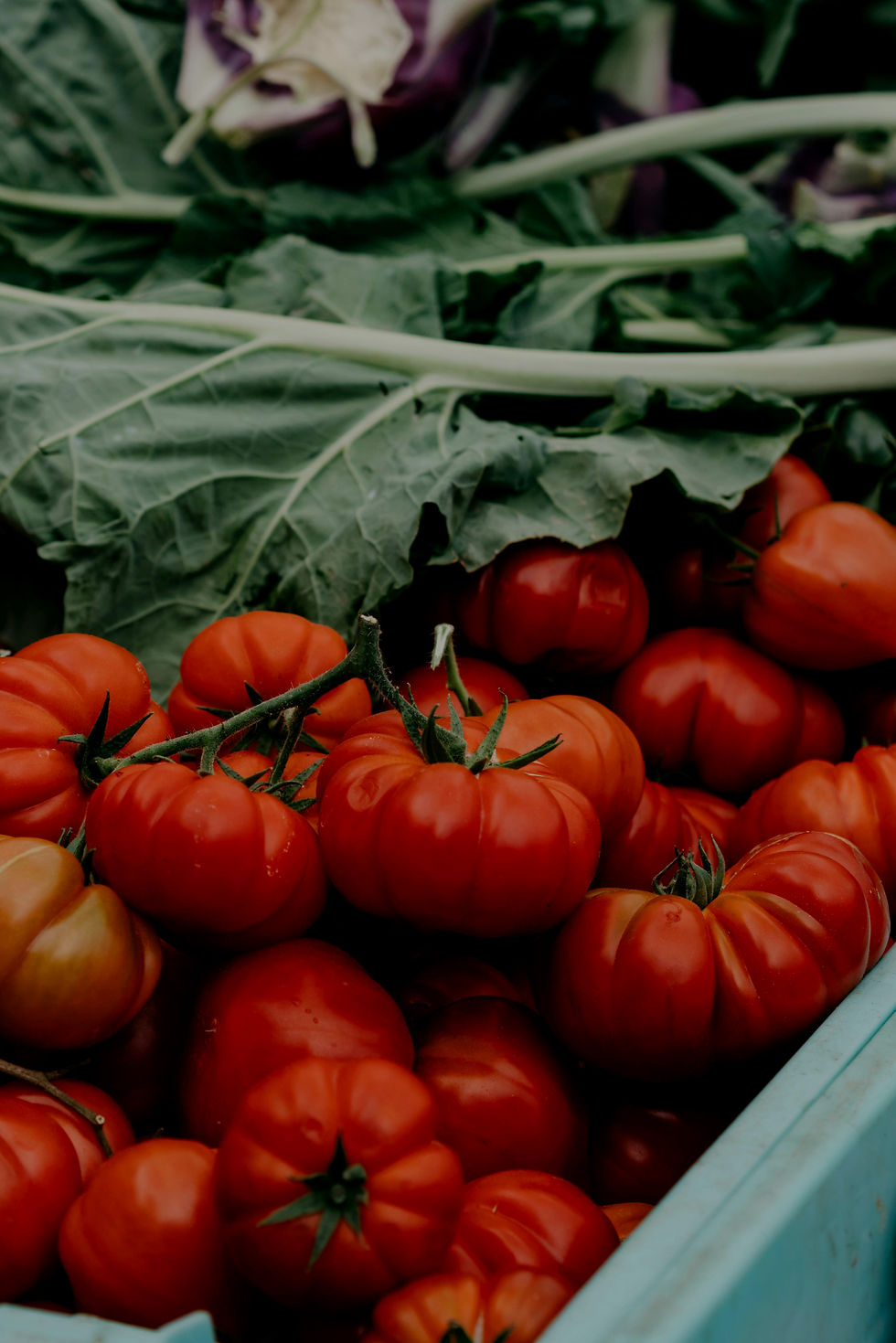 Fresh Organic Tomatoes