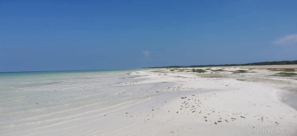 Yucatan-Mexique-les-voyages-de-lili-road-trip