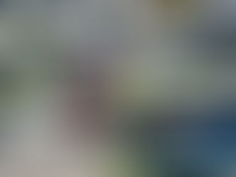 Rodoviários e Empresários fazem reunião junto ao MPT para tentar acordo e não fazer greve em São Luís