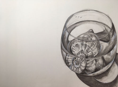 Raeya Wardle IMG_6708.jpg