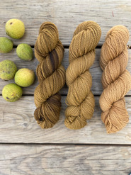 Forage & Sow Dye Works