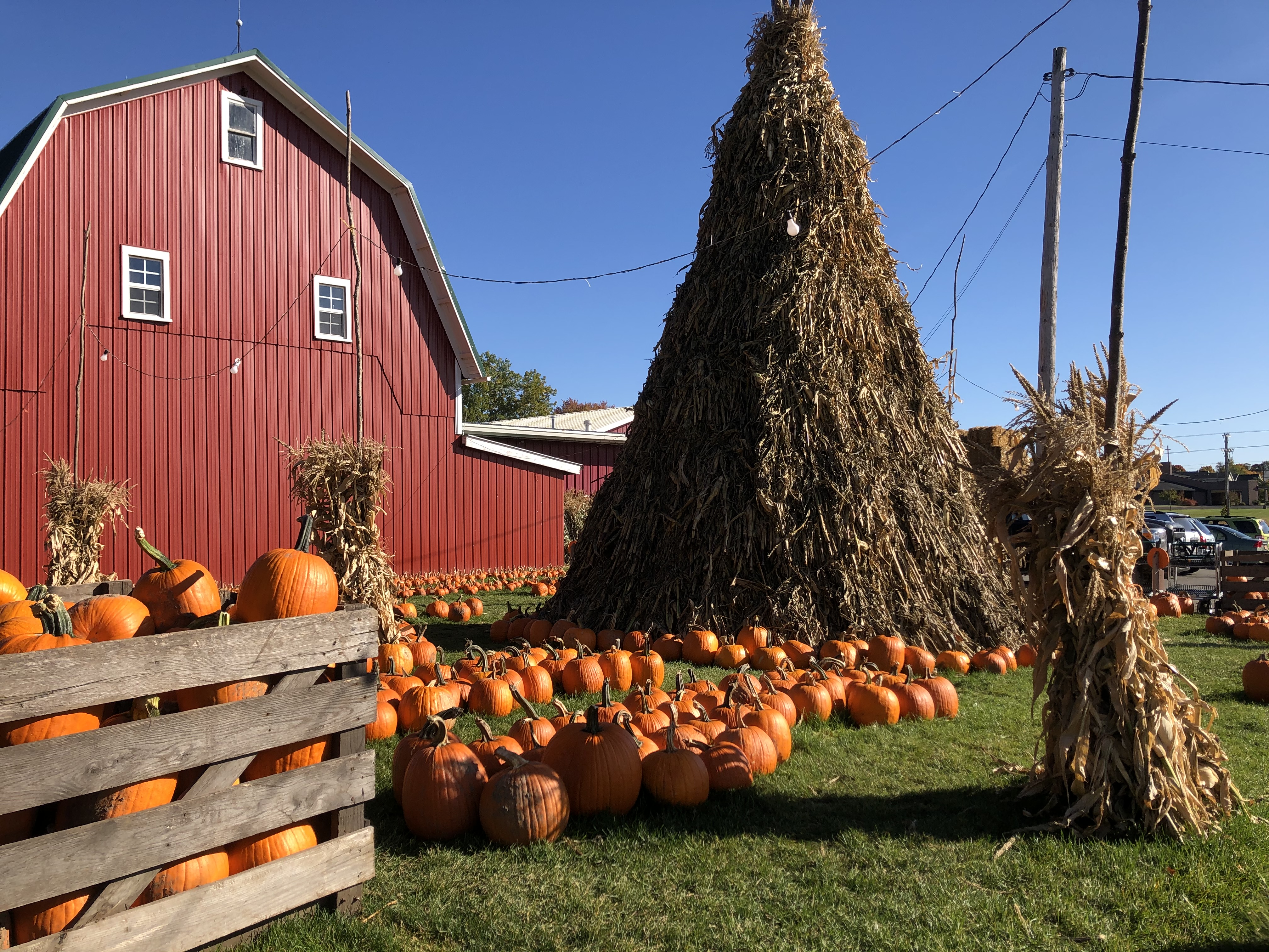 Writer: Bauman's Farm Market