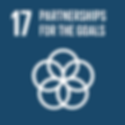 SDG17.png