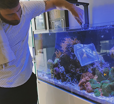 Aquarium expert providing routine tank maintenance service in Portland, Oregon