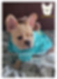 here's trouble.jpg
