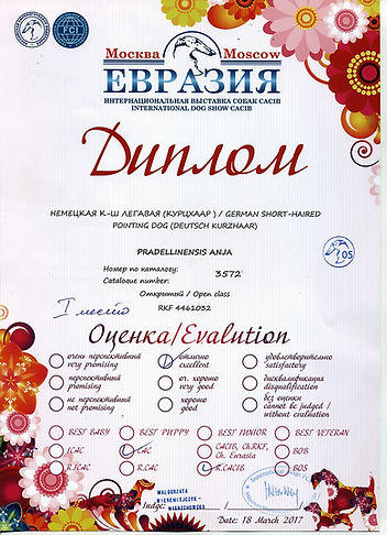 либеровенто