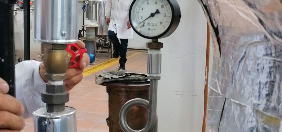 Presión de vapor