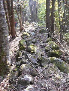 Trailwork3.jpg