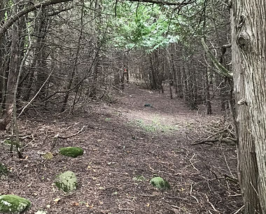 Trail 2.jpg
