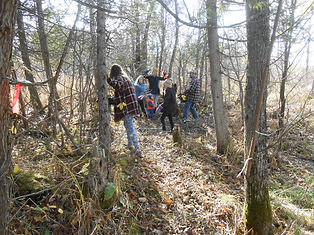 Trailwork11.jpg